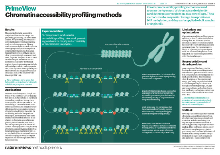 Chromatin Accesibility Methods | PDF | Chromatin | Sequencing