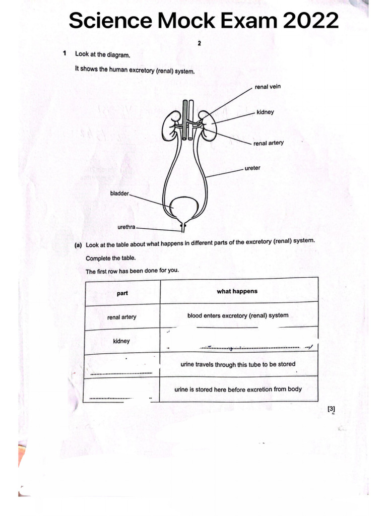 Science Mock Exam 2022 Unsolved | PDF