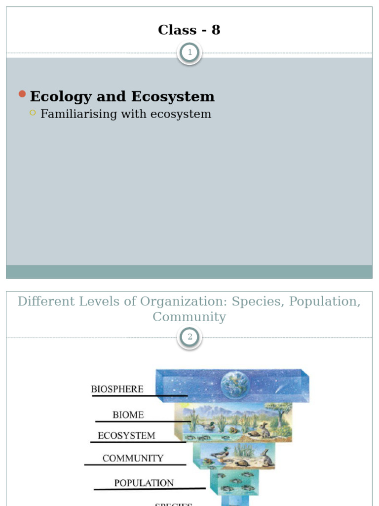 Ecology And Biodiversity In Bangladesh Pdf Leaf Plants