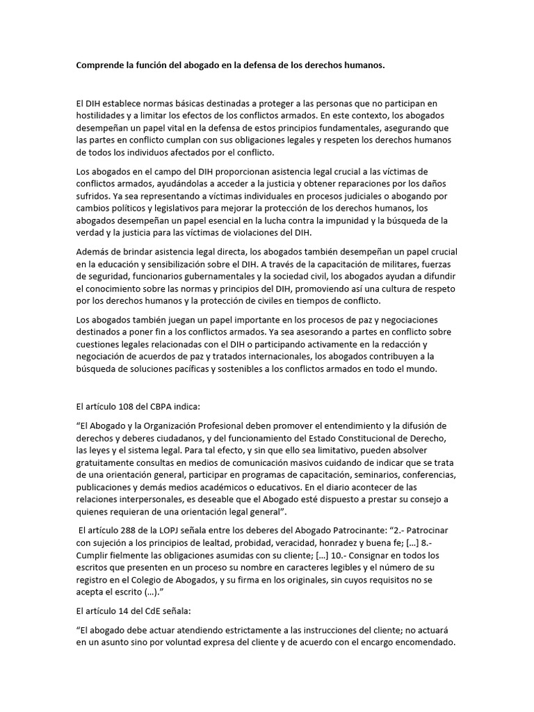 Abogados y Defensa de Derechos Humanos | PDF | Ley humanitaria ...