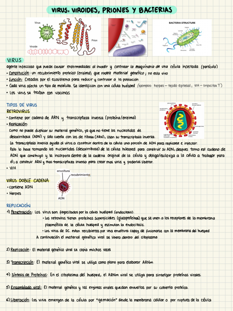 Biología 6 | PDF | Virus | La transcriptasa inversa