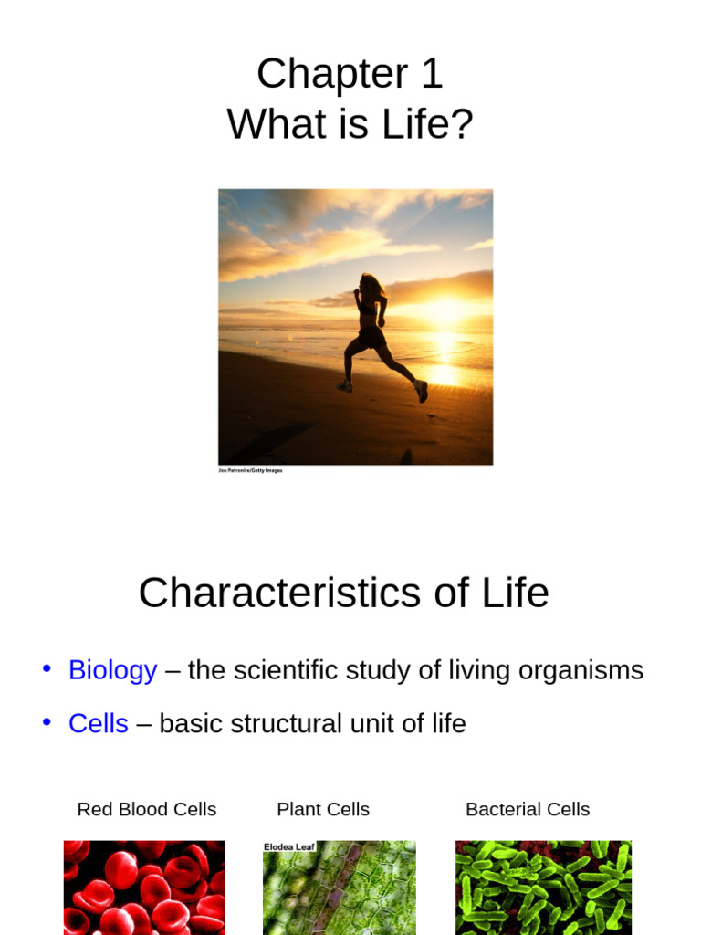CH 1 What Is Life Night | PDF | Science | Scientific Method
