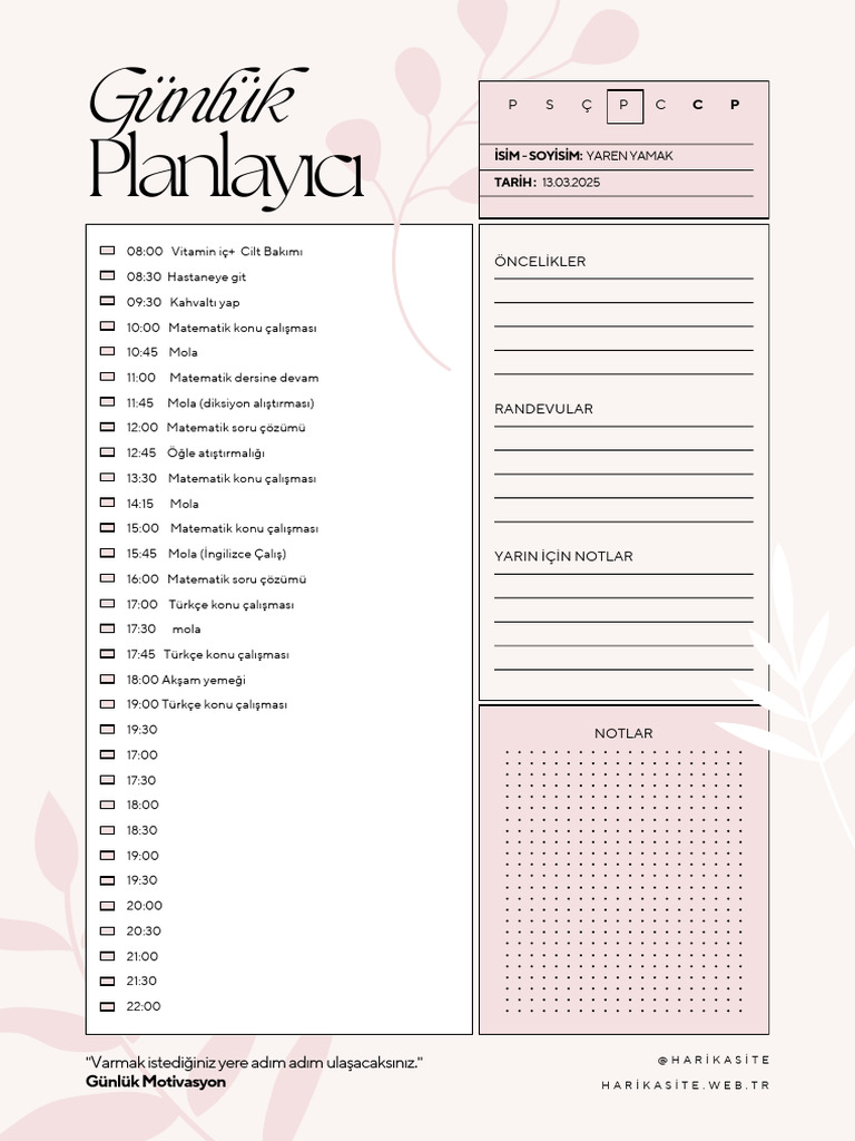 Pembe Ve Beyaz Modern Saatli Günlük Planlayıcı | PDF