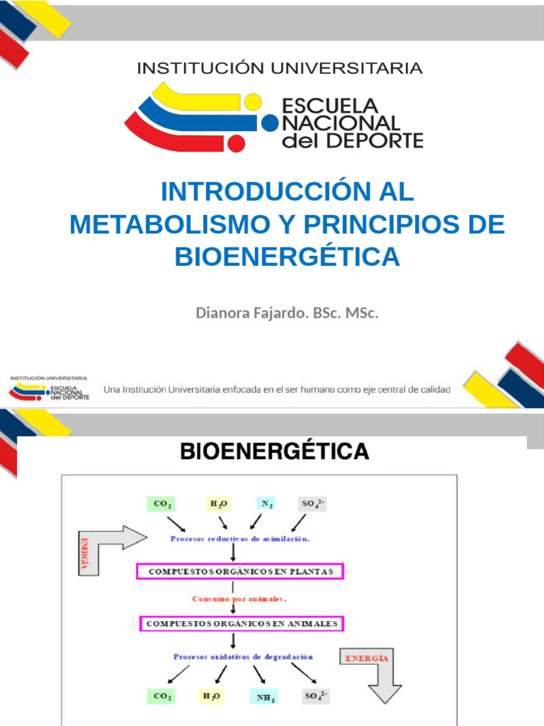 Clase Semana 1 - Introduccion Al Metabolismo - Principios de ...