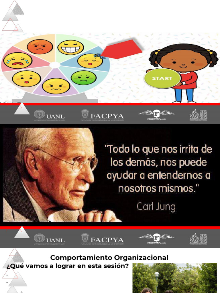 Emociones y Estados de Ánimo en el Trabajo | PDF | Las emociones ...
