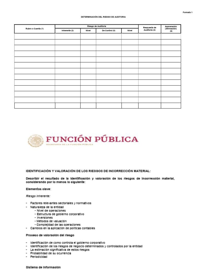 Formato 1 Informe de Analisis de Riesgo | PDF