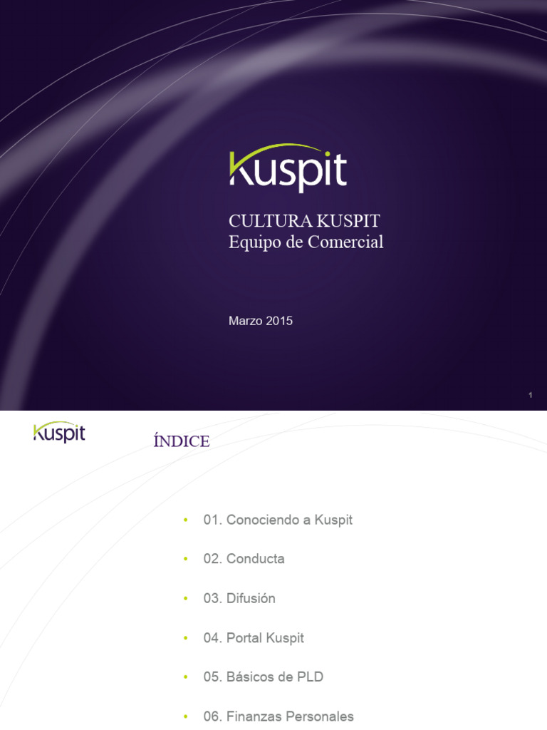 Guía Completa sobre Kuspit y Finanzas | PDF | Deuda | Dinero
