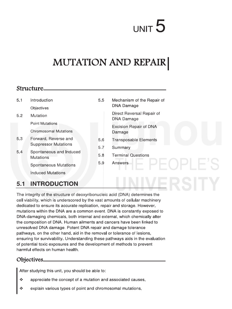 Unit 5 | PDF