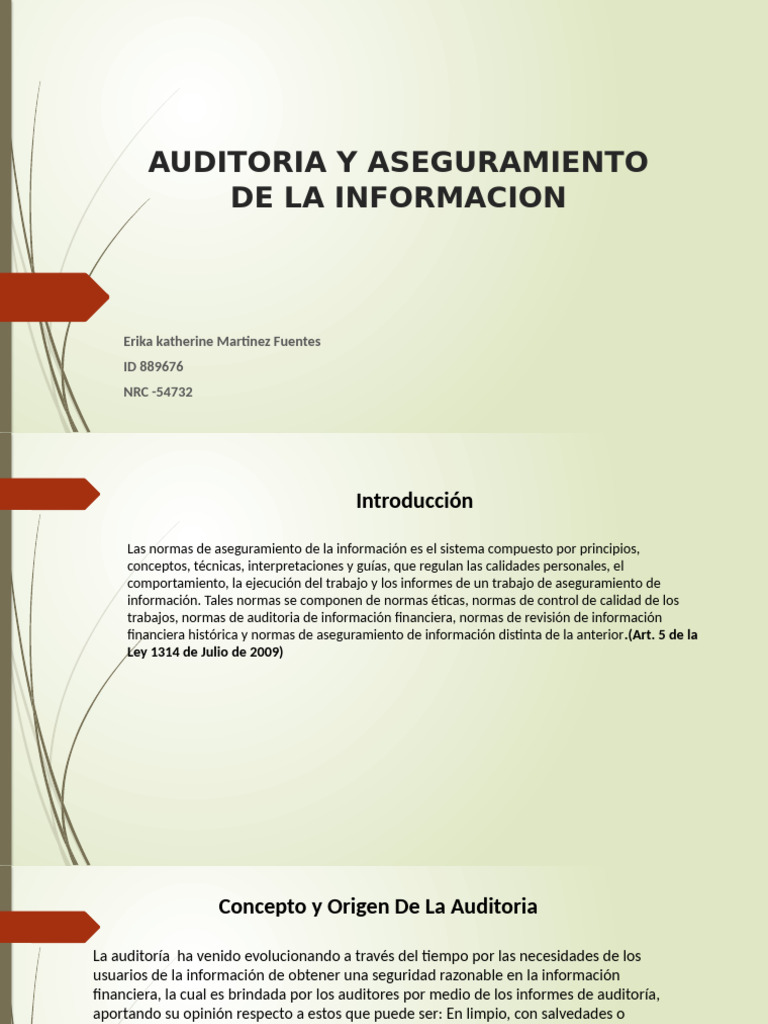 Actividad 1 | PDF | Auditoría | Contador