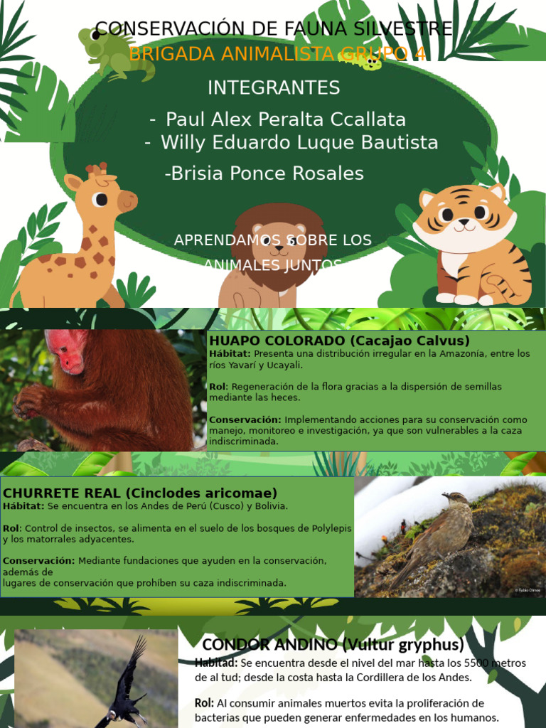 Conservacion de Fauna Silvestre | PDF | Entorno natural, image size:768x1024