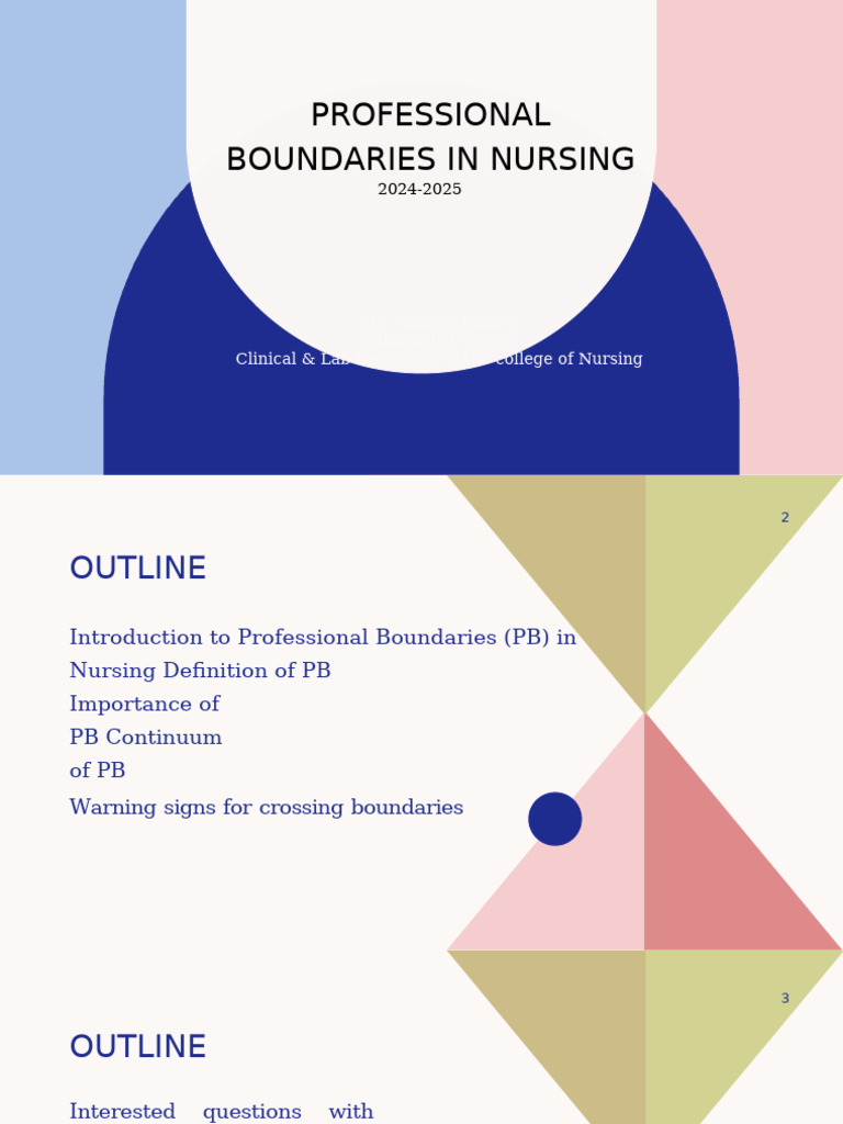 Professional Boundaries | PDF | Nursing | Patient