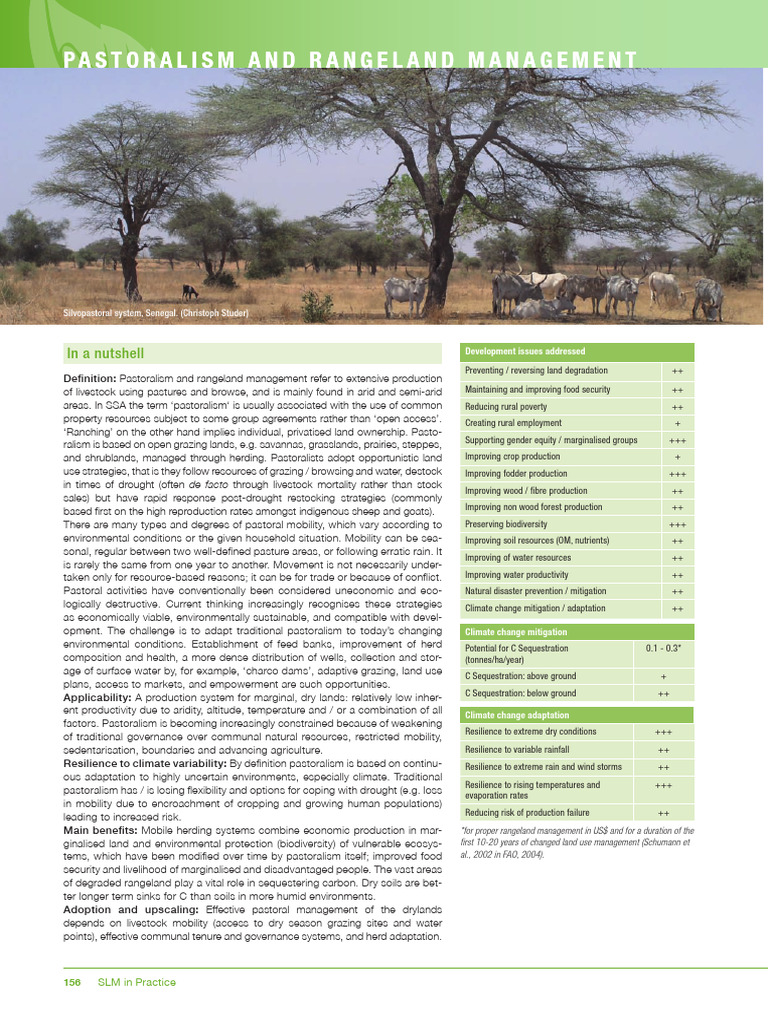 Pastoralism and Rangeland Management Insights | PDF | Pastoralism | Grazing