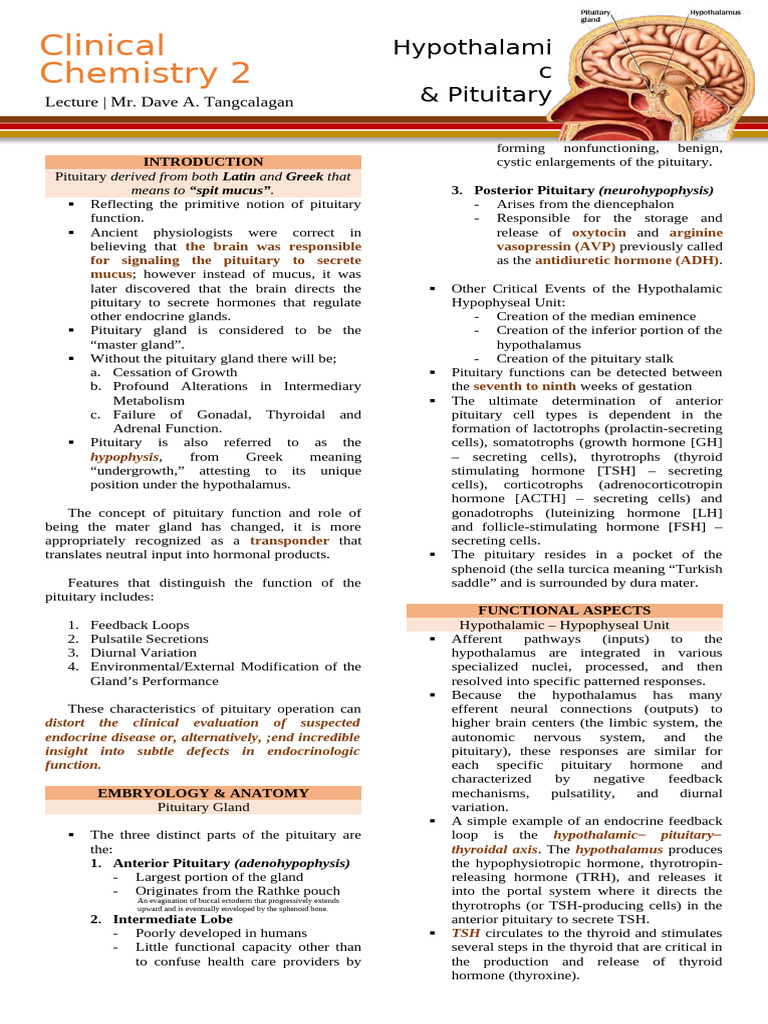 Pituitary Gland Functions and Hormones | PDF | Pituitary Gland ...