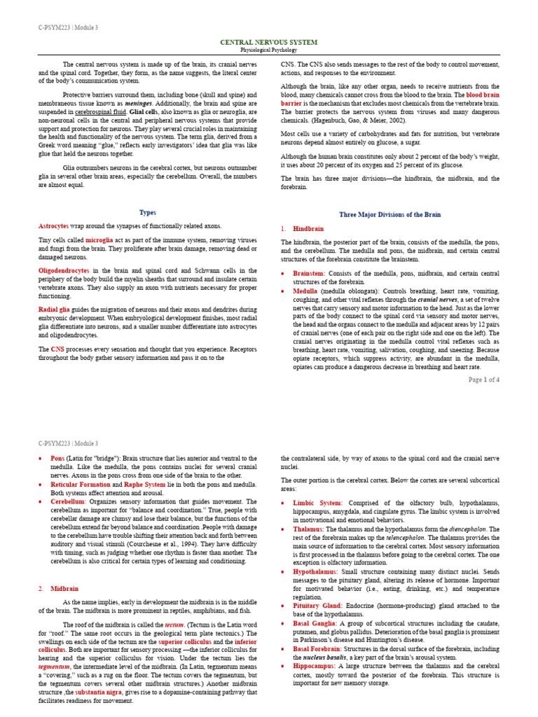 Central Nervous System Overview | PDF | Central Nervous System | Brain