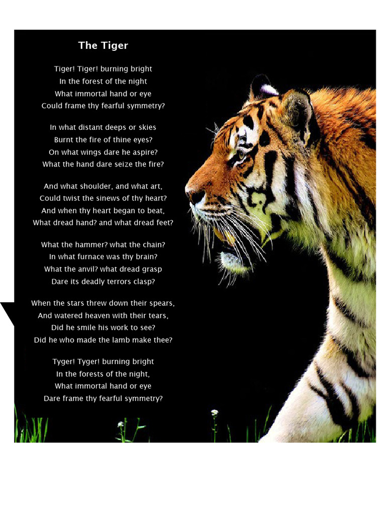 Tiger Tiger | PDF
