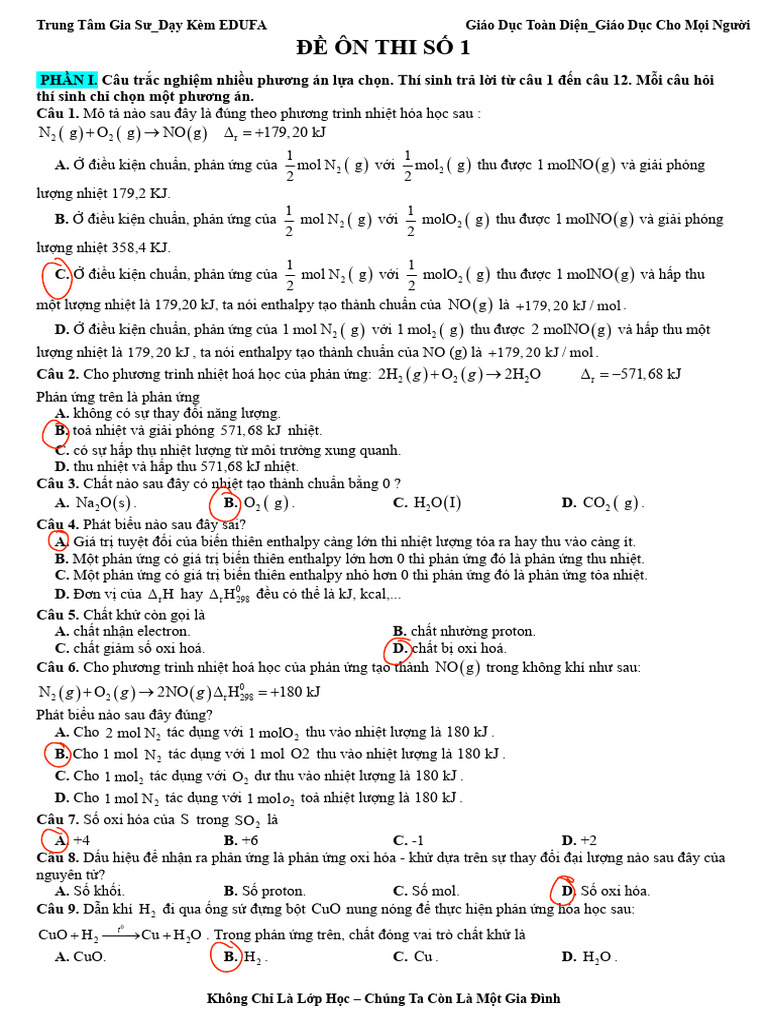 Ôn Thi GK2 2 | PDF