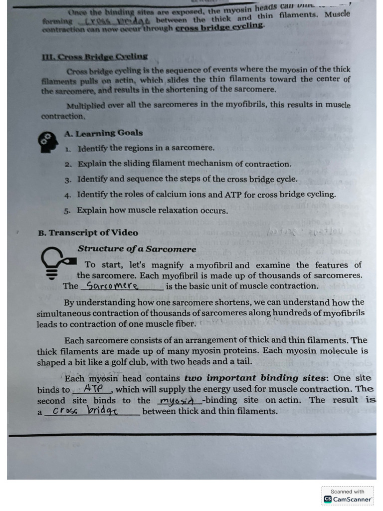 Cross Bridge | PDF