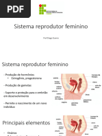 Tipos de Hímen e Suas Características | PDF