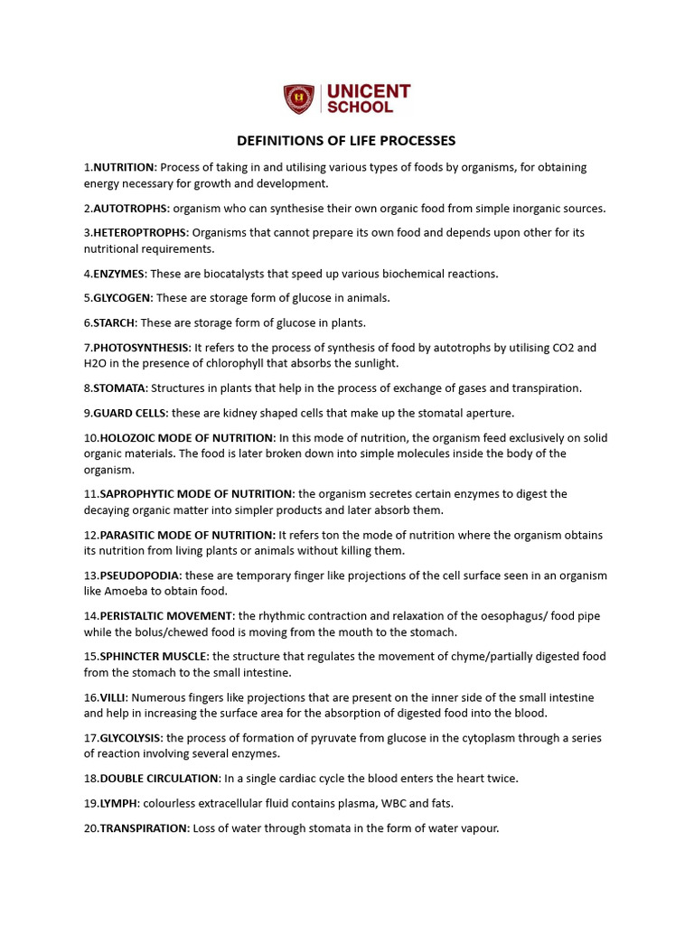 Important Questions on Life Processes | PDF | Digestion | Nutrition