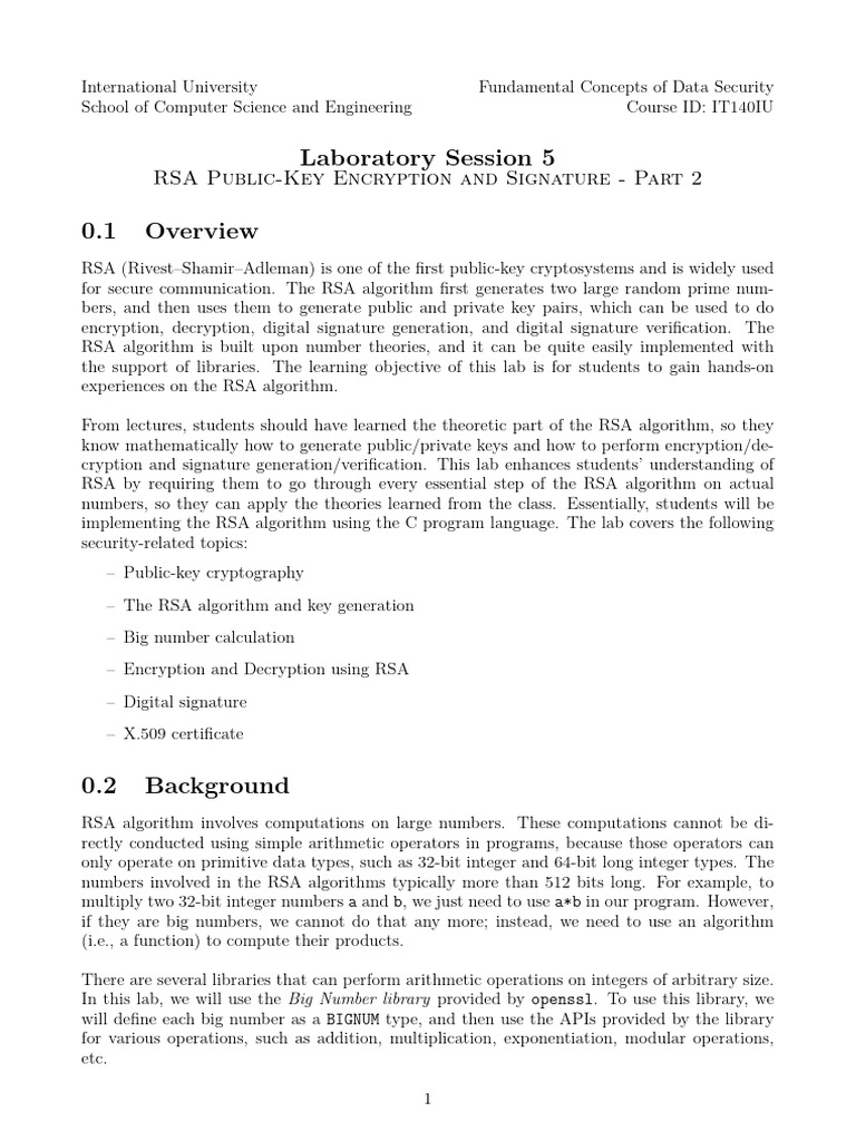 RSA Encryption Lab Overview | PDF | Public Key Cryptography | Encryption