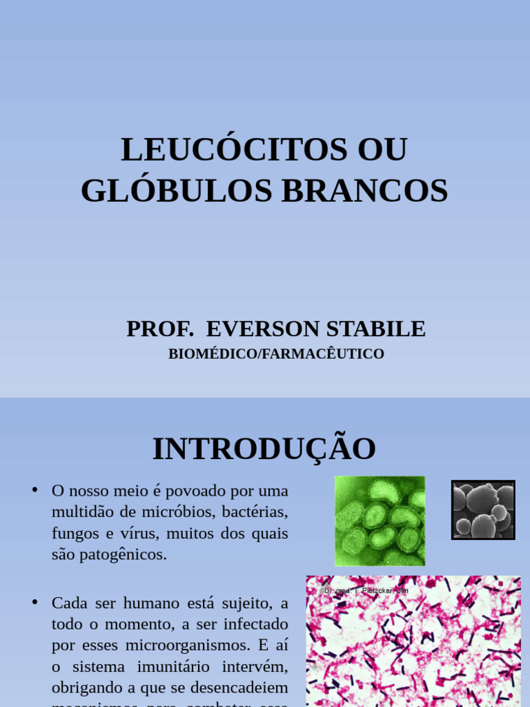 Leucócitos: Funções e Tipos no Sistema Imune | PDF | Glóbulo branco ...