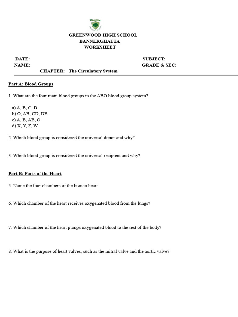 Circulatory System Diagram Worksheet | PDF | Circulatory System | Heart