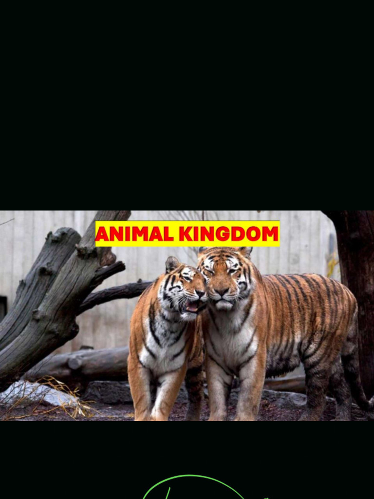 Animal Kingdom Question Discussion Note | PDF