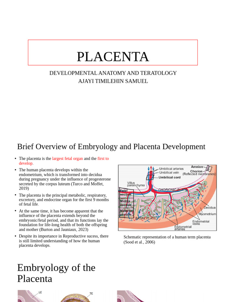 Placenta Development and Functions Explained | PDF | Placenta | Dna ...