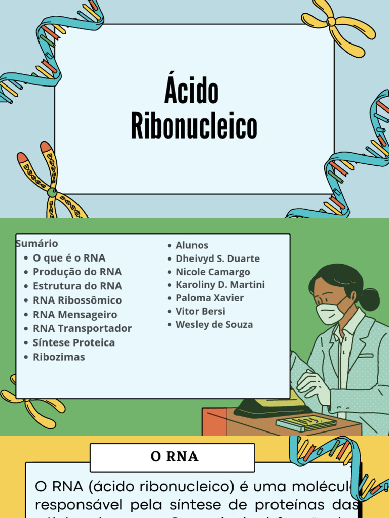 Funções e Estruturas do RNA | PDF | RNA | ARN ribossômico