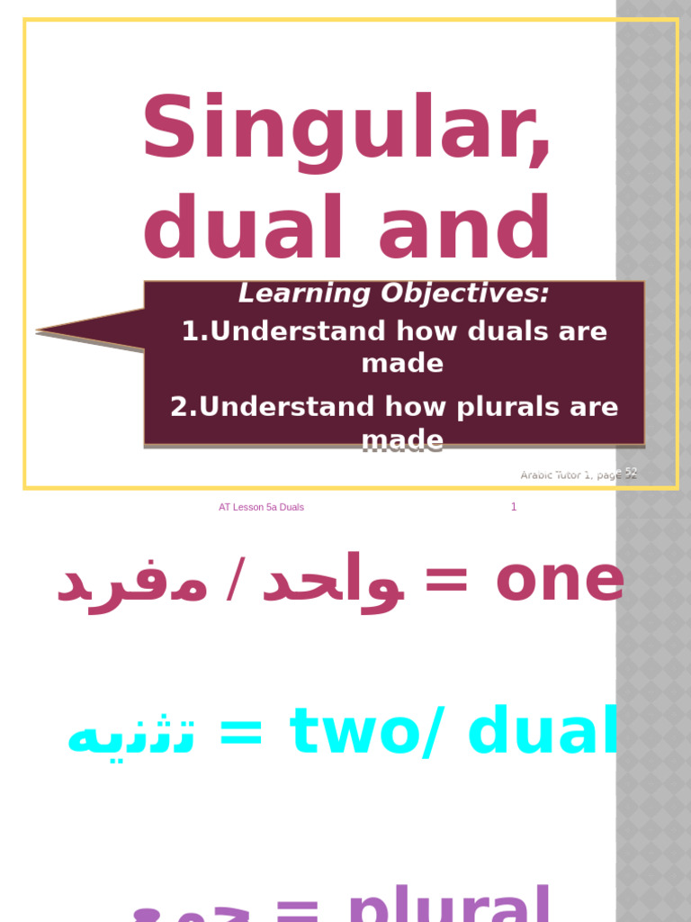 Duals Nouns Week 04-03 | PDF | Grammatical Number | Plural
