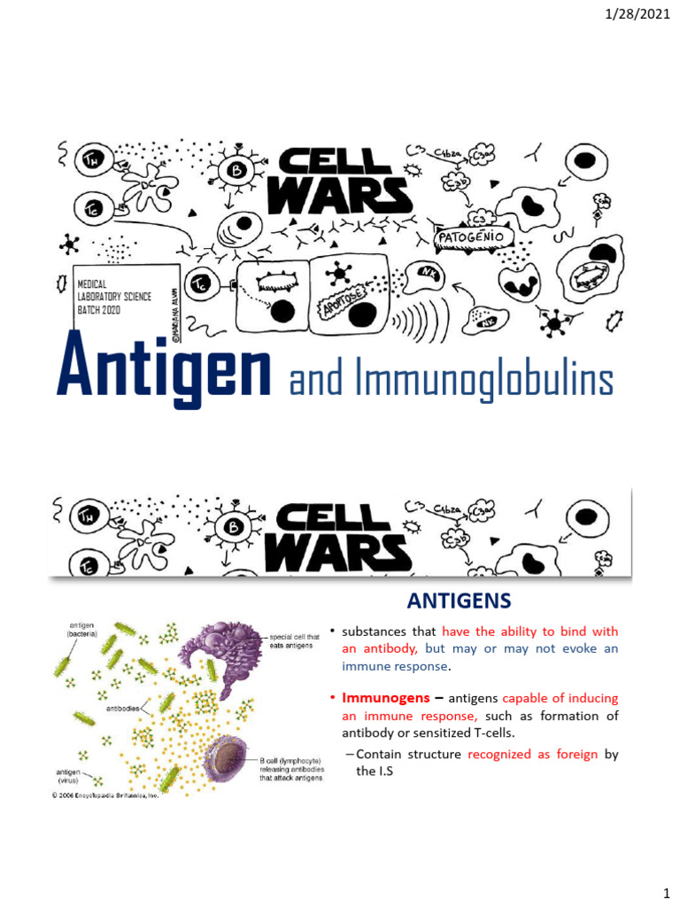 Antigens and Immunoglobulins Overview | PDF | Antibody | Antigen