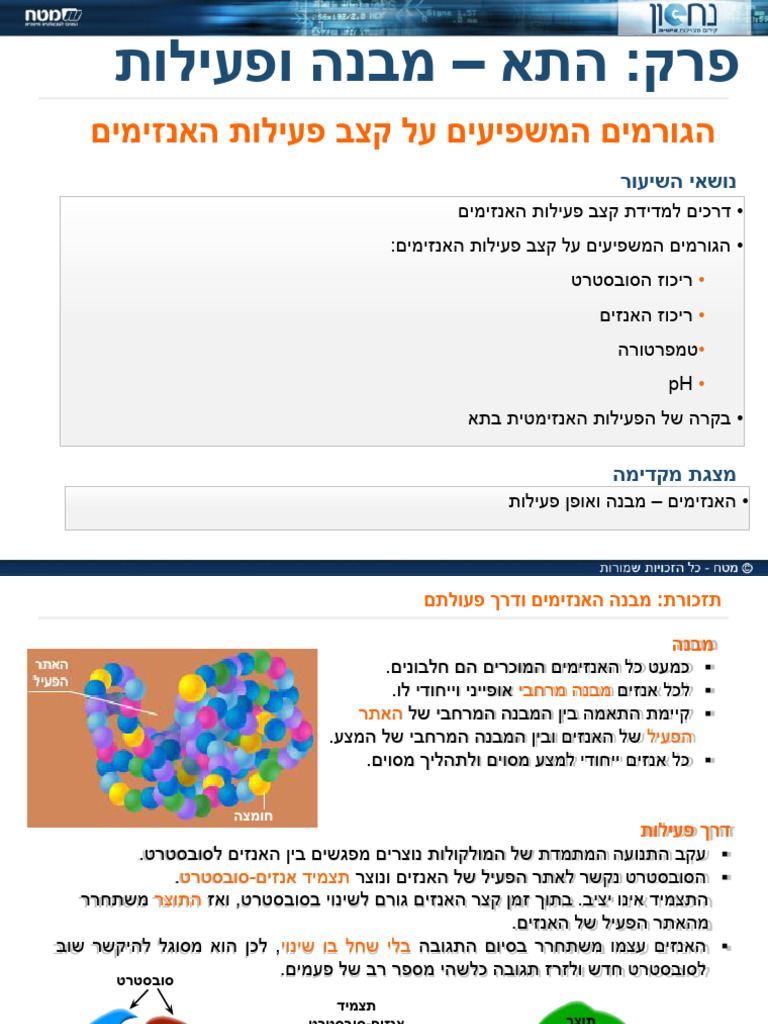 הגורמים המשפיעים על קצב פעילות האנזימים לתלמיד | PDF