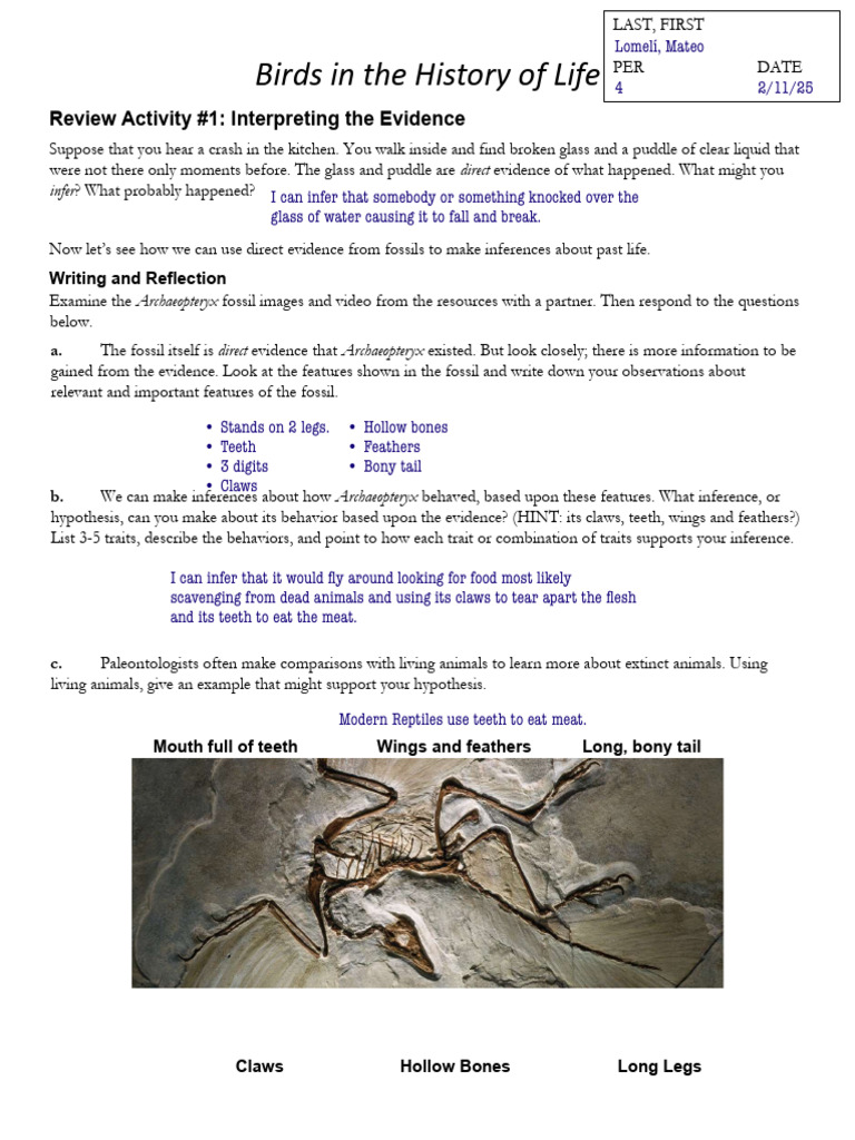 Week 5 Birds in Evolution of Life | PDF | Dinosaurs | Zoology