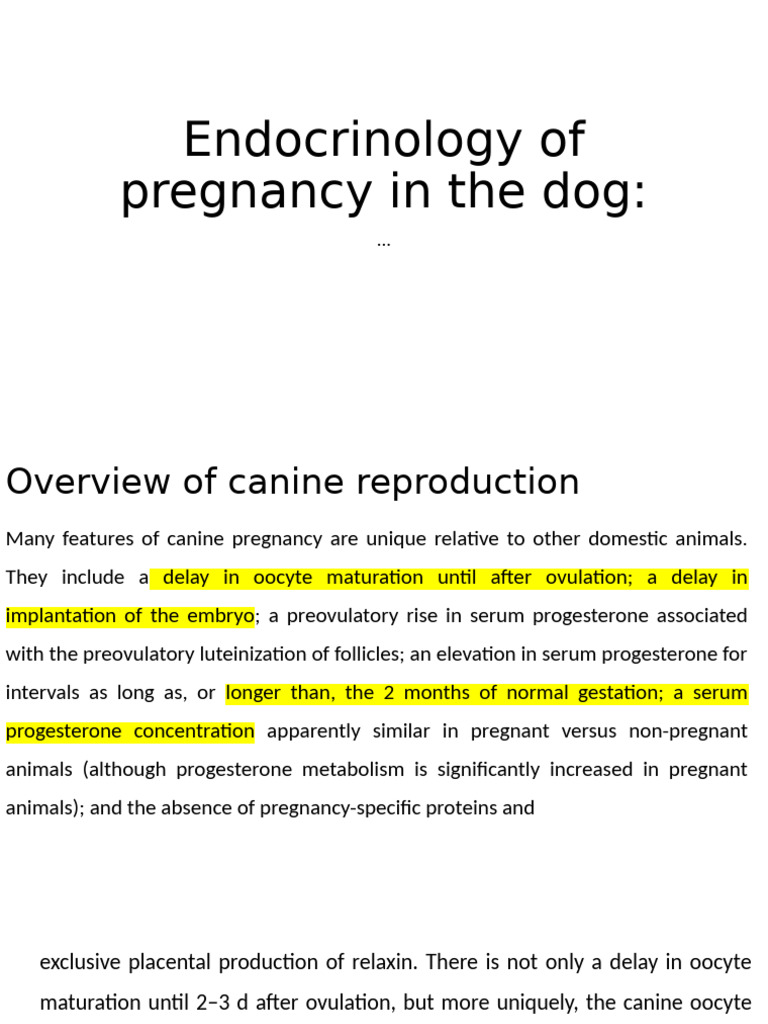 Image showcasing Canine Pregnancy Endocrinology Explained | PDF | Luteinizing Hormone ...
