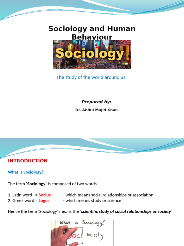 Understanding Sociology: Key Concepts | PDF | Gender Studies | Feminism