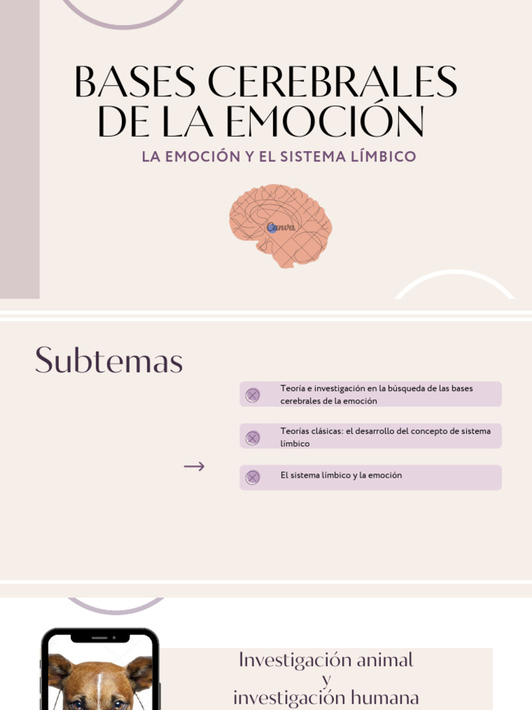 Bases Cerebrales de La Emoción La Emoción y El Sistema Límbico | PDF ...