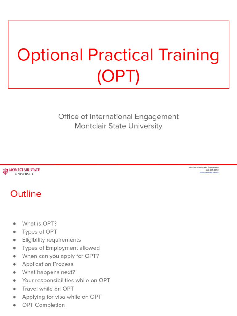 Optional Practical Training OPT Instructions - spg2020 | PDF | Travel ...