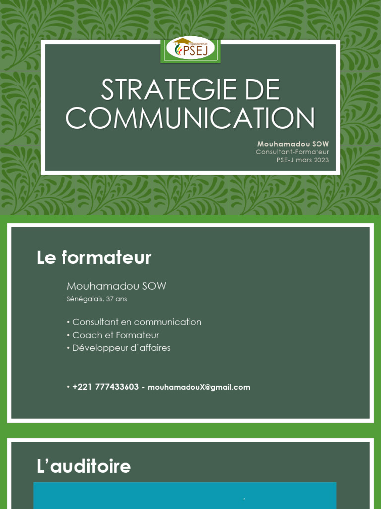 Stratégie de Communication et Image de Marque | PDF | la communication ...