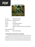 Download Tugas Kel Ot Profil Klt 1 by Selvia Aliftiani SN84036814 doc pdf