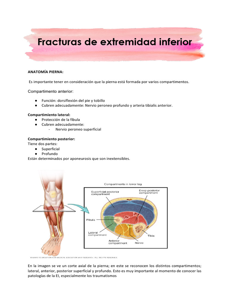 Fracturas EEII | PDF | Tobillo | Sistema musculoesquelético