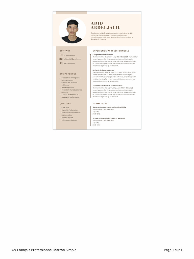 CV Français Professionnel Marron Simple | PDF