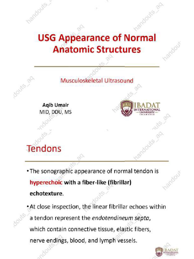 USG Appearance of Normal Anatomic Structures | PDF