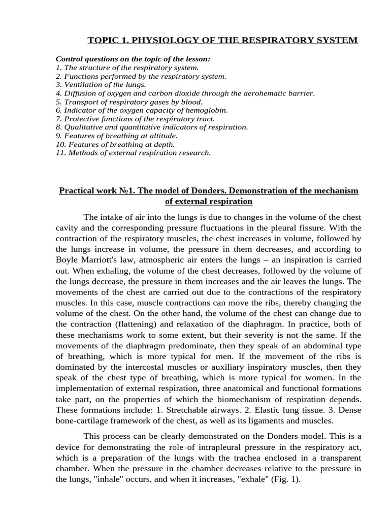 Respiratory System Physiology Guide | PDF | Respiratory System | Lung