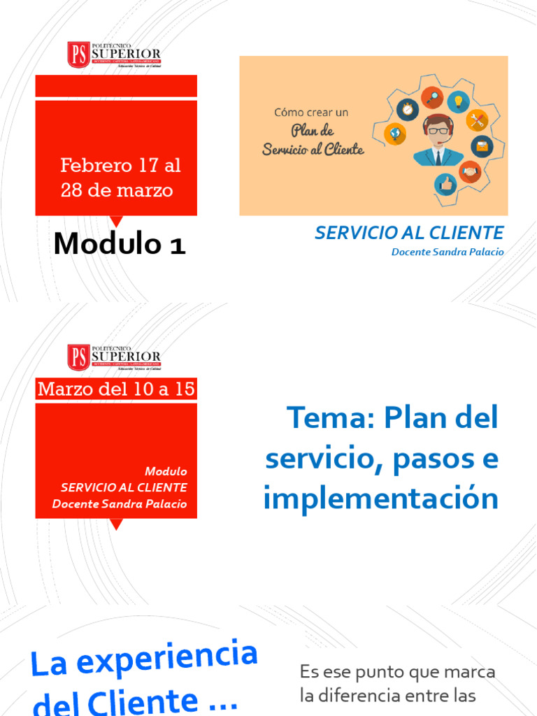 Estrategias para un Servicio al Cliente Excepcional | PDF | Servicio al ...