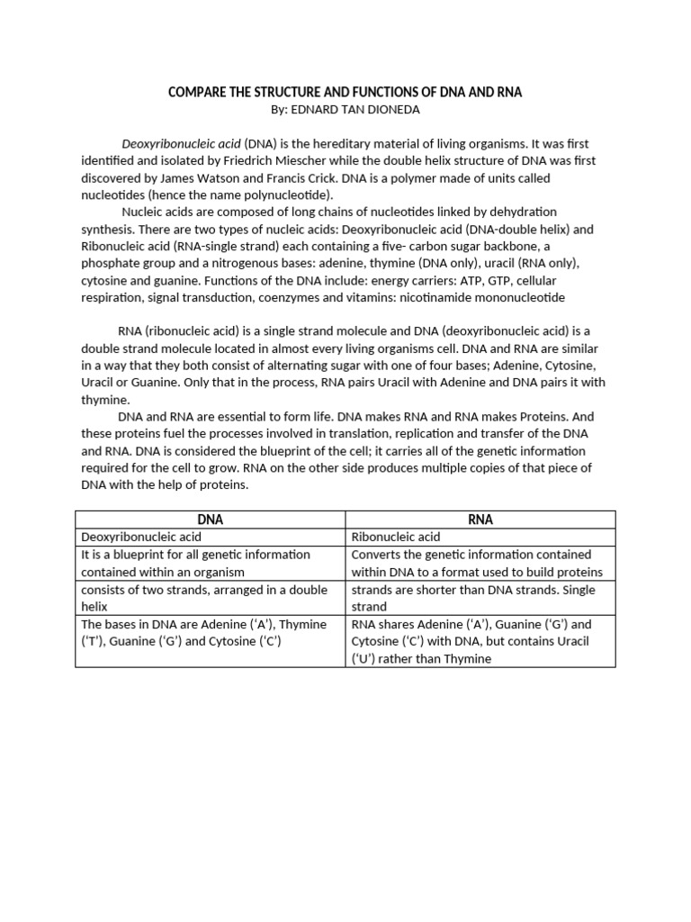 Compare The Structure and Functions of Dna and Rna | PDF | Dna ...