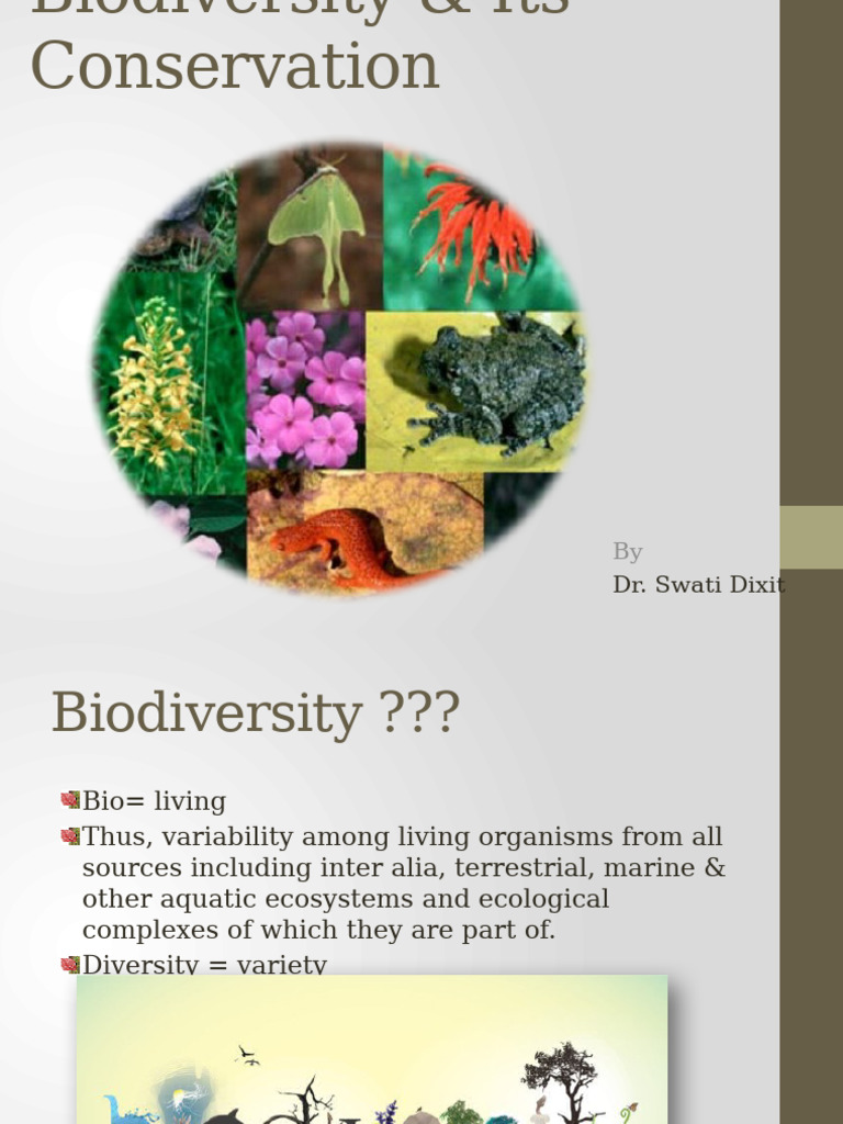 Lecture - 5 - Biodiversity & Its Conservation | PDF | Endangered ...