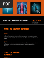 Ossos Dos Membros Superiores Pdf Mão Osso