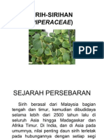 Sirih-Sirihan (Piperaceae)