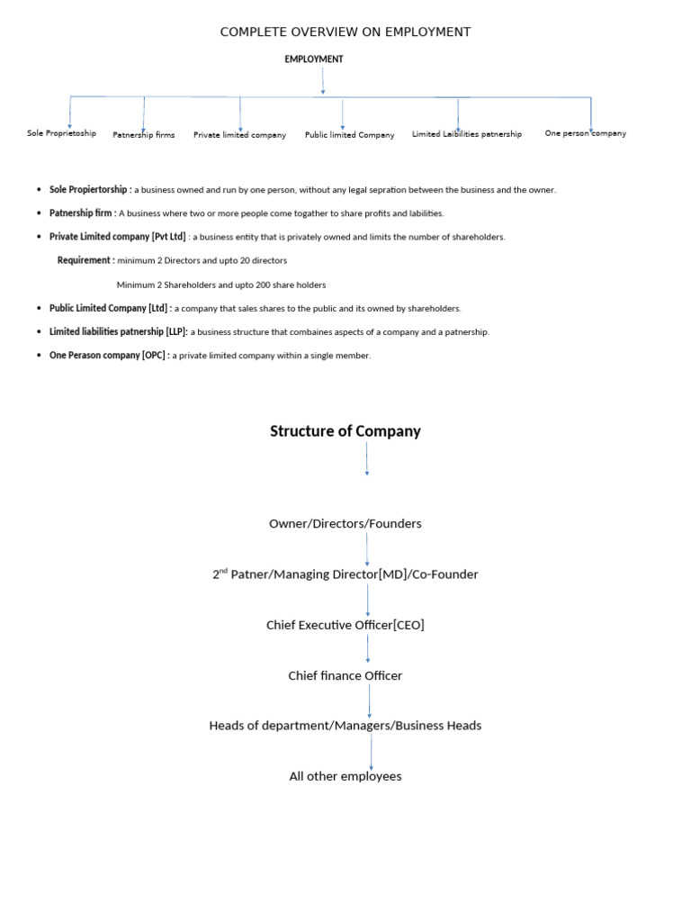 Overview of Business Structures and Employment | PDF