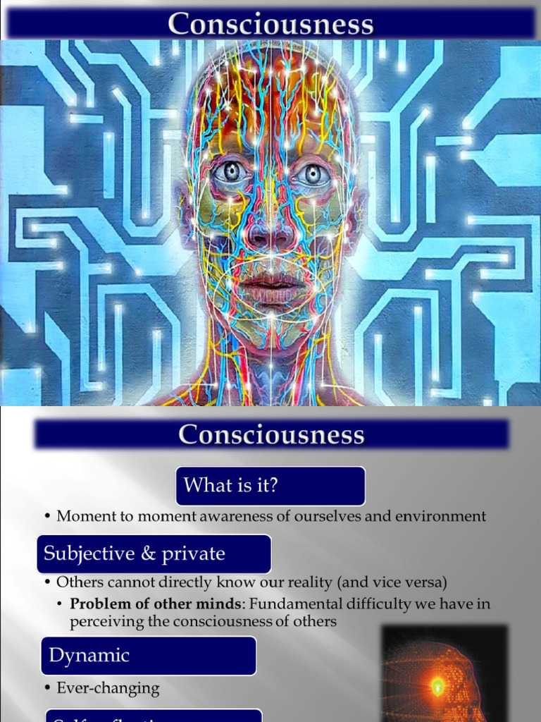 101 Consciousness 2018 | PDF | Rapid Eye Movement Sleep | Sleep